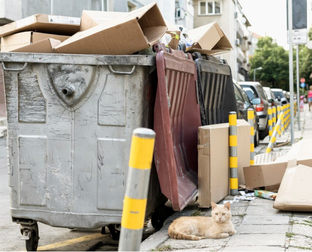 Quick and Reliable Waste Disposal