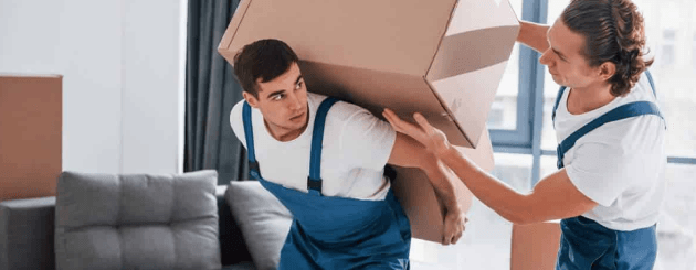 Residential and Garden Care