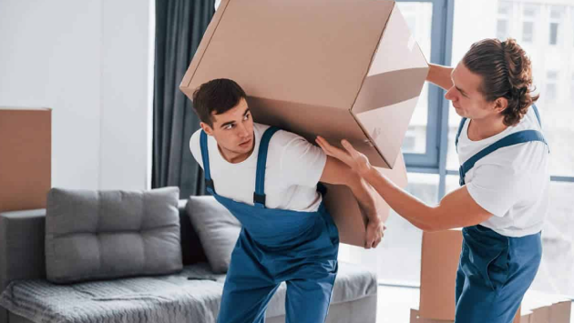 Trusted Experts for Every Clearance Need